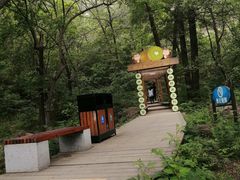 -大岭沟猕猴桃谷风景区