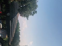 -满記土窑烧鷄波浪山莊