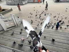 -六祖寺