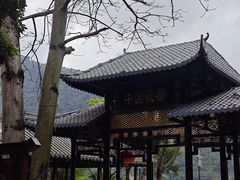 -紫云谷景区