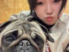 -和它·交个朋友·狗咖猫咖(爱琴海店)