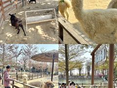 -盈香心动乐园