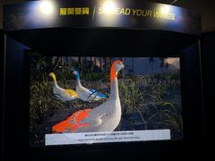 -香港科学馆