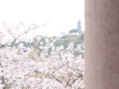-苏州上方山国家森林公园