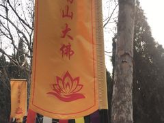 -龙口南山旅游景区