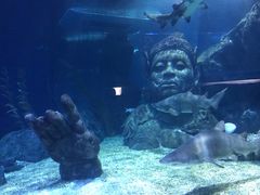 -暹罗海洋世界
