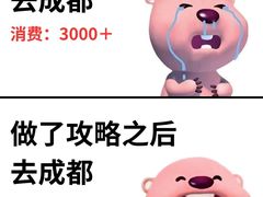 -王婆婆老妈蹄花川菜馆·非物质文化遗产(太古里一店)