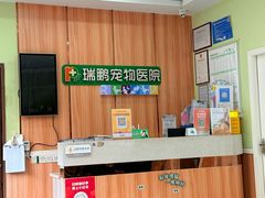 -瑞鹏宠物医院·夜间急症·心超·猫科(祖庙分店)
