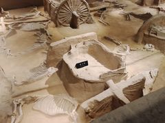 -洛阳周王城天子驾六博物馆