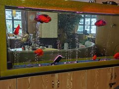 -品胜点心专家(万业大厦店)