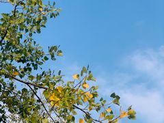 -池杉湖湿地公园