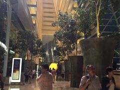 -db Bistro & Oyster Bar by Daniel Boulud(滨海湾金沙店)