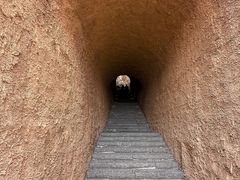 -西侯度遗址