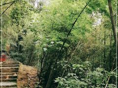 -长沙黑麋峰国家森林公园