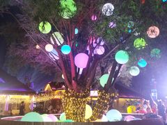 -第35届青岛国际啤酒节