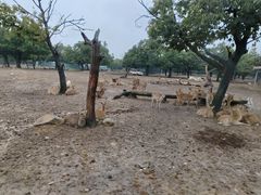 -西安秦岭野生动物园