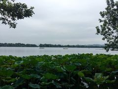 郭庄茶室-郭庄茶室