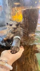 点击看大图 -Zoolung Zoolung动物主题公园(海信广场店)