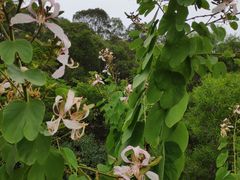-金鸡山公园