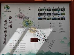 -广州白江湖森林公园