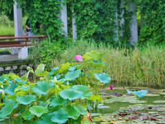 -国家植物园南园