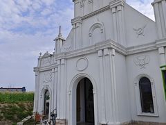 -杭州湾海上花田景区