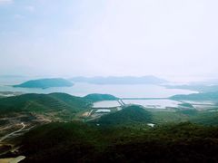 景点-黄贤森林公园