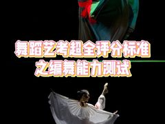 -天籁艺术高考培训学校·重庆艺考集训