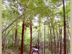 -敬亭山风景名胜区