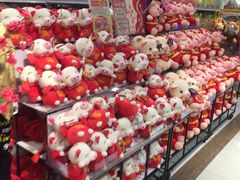 -AEON永旺(东方宝泰店)