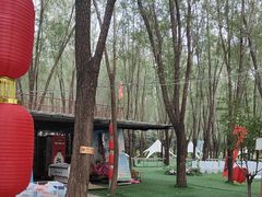 -草根堂农场