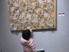 -大连美术馆