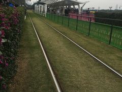 -黄埔古港