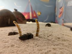 -欢乐海岸海洋奇梦馆