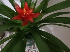 -湘厨壹品(芙蓉广场店)
