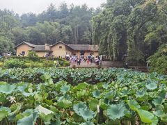 -韶山毛泽东同志故居