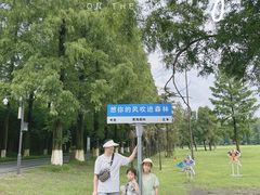 -黄海国家森林公园