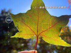 -北宫国家森林公园