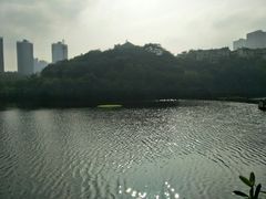 -重庆彩云湖湿地公园