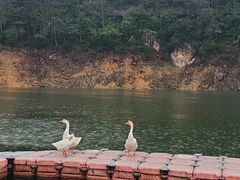 -云和湖仙宫景区