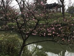 -叶受和(观前街店)