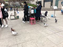 -陕西自然博物馆