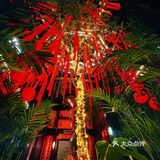 安吉！跨年饭和年夜饭我都准备好了。。。 