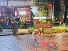 -柴米油盐(土菜院子店)