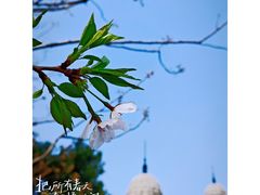 -USTC1958东区·by UNILAB