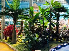 -青岛东方影都融创水世界