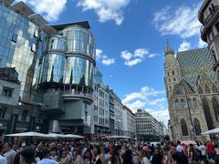-斯蒂芬主教座堂(Stephansdom)