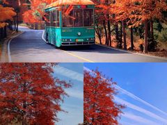 -南京市无想山景区
