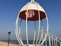 -巧克力渔家.小船海鲜家常菜(万平口店)