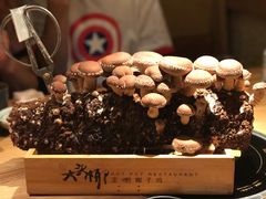 -大头椰·椰子鸡火锅(南宁万象城店)